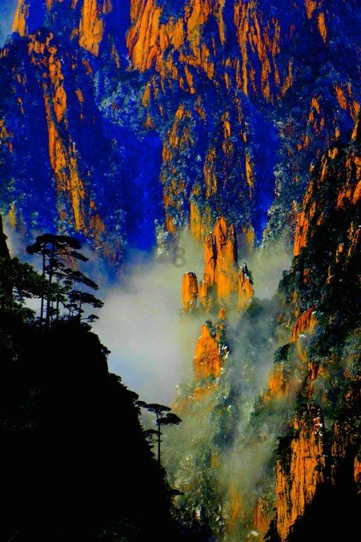 蝴蝶消消乐