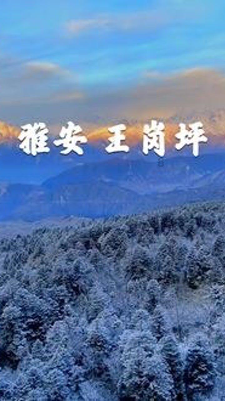 植物大战僵尸4