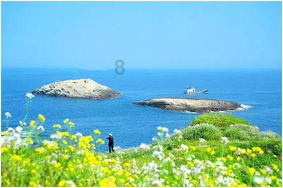 海岛大亨5
