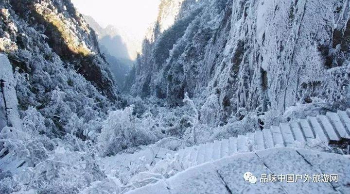 2010夺冠时刻,山东泰山的这一辉煌多少人记得
