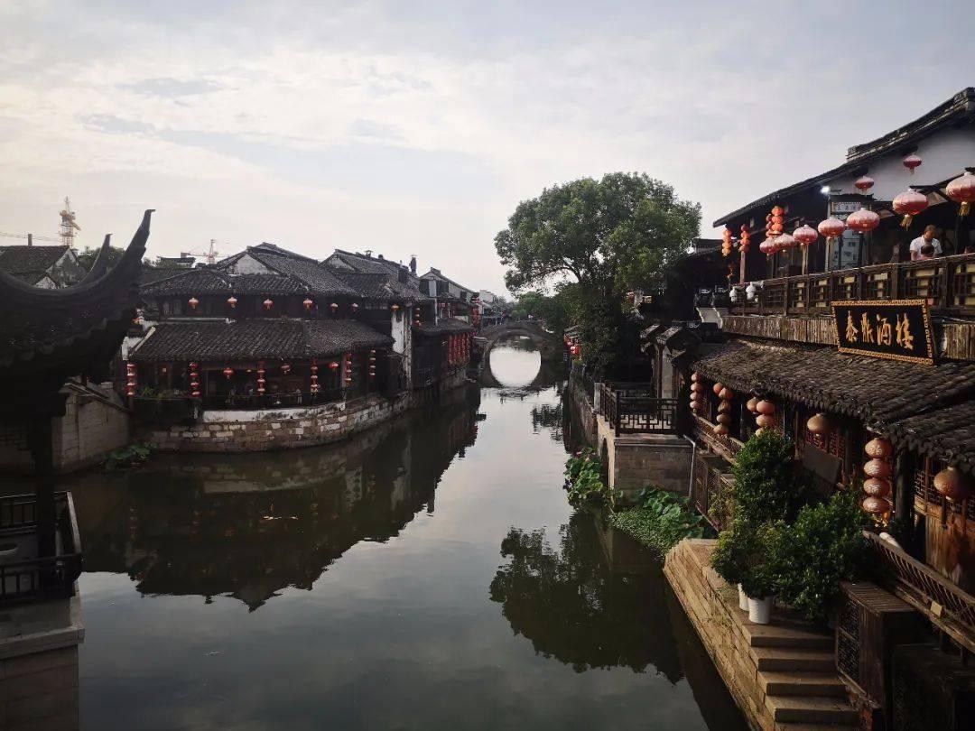 救援大嘴鸟